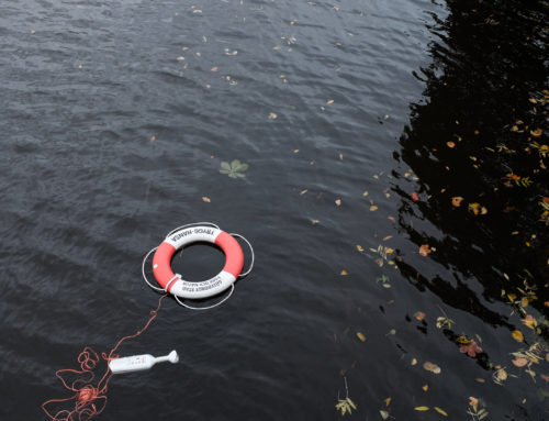 How to Insure Your Rental Income Against Tenant Default